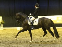 Kartsevo Etoile DES 201113_2273